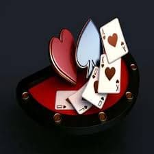 wild bet